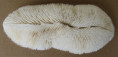 /products/halomitra-pileus-linnaeus-1758/